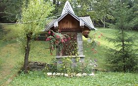 Villa Doina